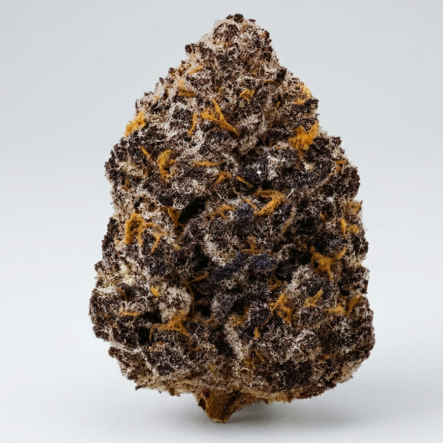 Chocolate Runtz THCA at Green House Smoke Shop in Kissimmee, FL