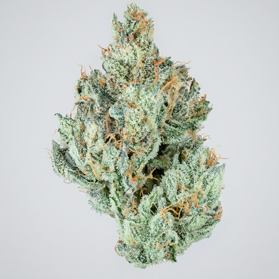 White Runtz THCA at Green House Smoke Shop in Kissimmee, FL