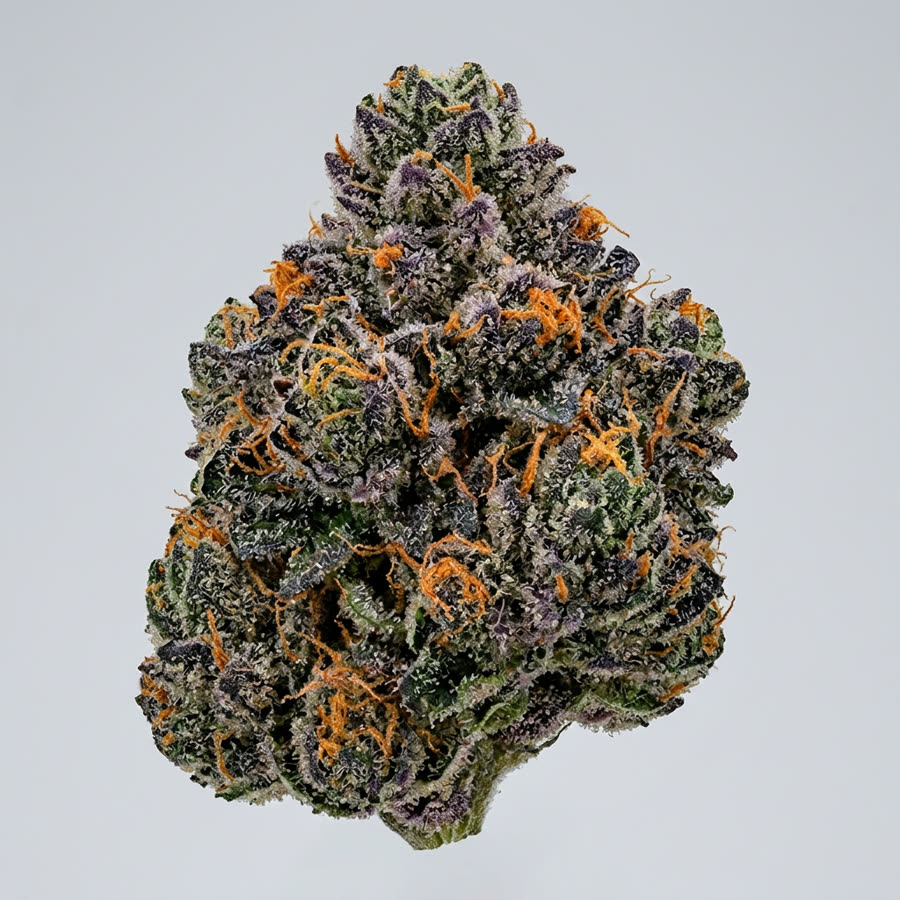 Jelato THCA at Green House Smoke Shop in Kissimmee, FL